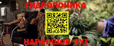 гашик Будённовск