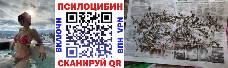 Галлюциногенные грибы мухоморы  Елабуга 