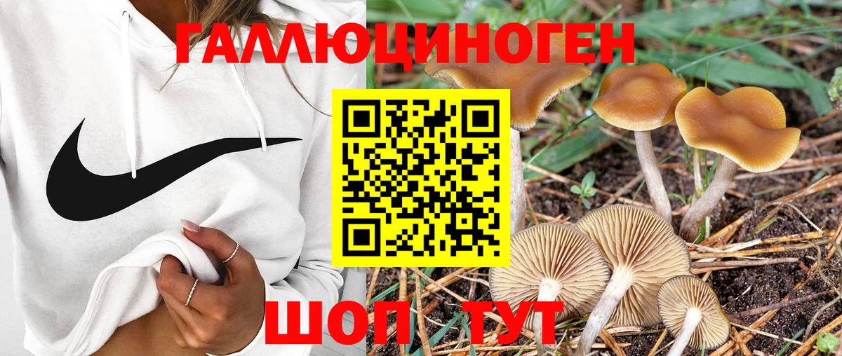 Псилоцибиновые грибы Magic Shrooms Елабуга