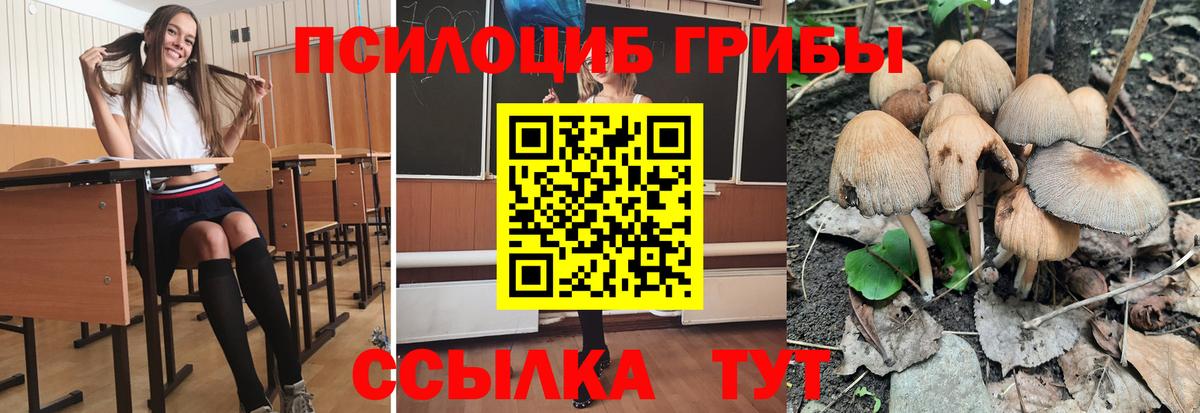 Елабуга  Псилоцибиновые грибы Psilocybine cubensis  Вход с VPN 