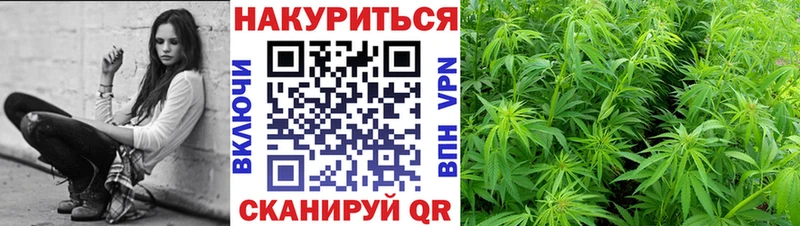 площадка официальный сайт  Елабуга  Шишки марихуана план 